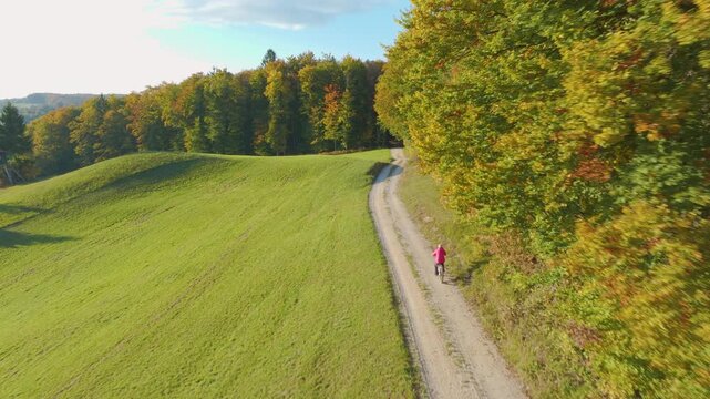 AERIAL: Senior woman rides an electric mountain bike along winding gravel road between green meadow and colourful autumn forest. Peaceful rural landscape, active lifestyle, and bright seasonal scenery