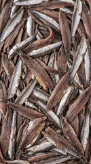 Fototapeta premium Close up full frame of salt cured anchovies with visible skin and flesh texture