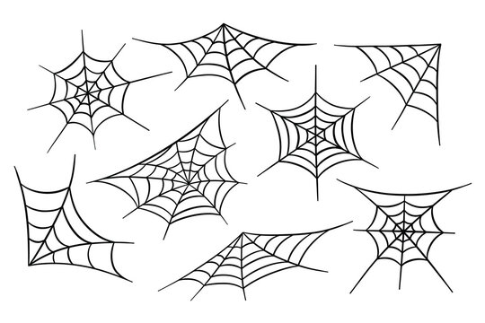 Black and white vector set of spiderwebs in doodle sketch style. Simple illustrations for Halloween branding and packaging
