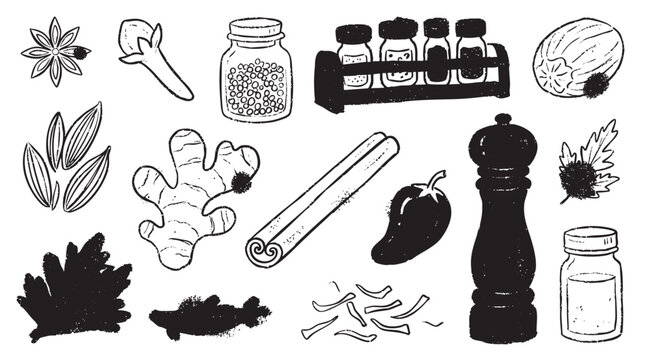 Culinary herbs and spices vector doodle collection includes ginger cinnamon and chili pepper.