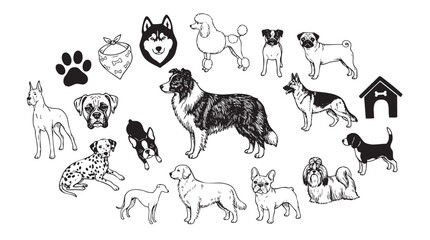 Fototapeta premium Black and white hand drawn dog breeds and pet accessories collection for animal enthusiasts.