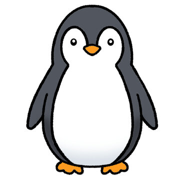 Cute Penguin Illustration