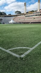 Football soccer field and stadium © Gustavo