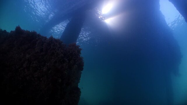Underwater shot under Swanage Pier with shoals of small fish swimming amongst the piling with sunlight filtering down 
