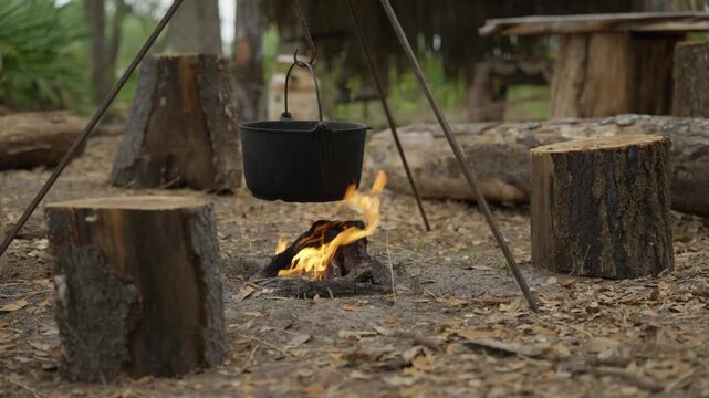 A cast-iron cauldron hangs over a burning campfire in a forest. Natural tree stumps. Tourist camping. Ecotourism recreation.