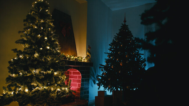 Silhouette Of Trees In Dark Room Before Santa's Arrival at Christmas