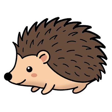 hedgehog on a green background
