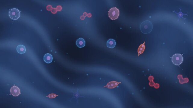 Stem Cell Differentiation Microscopy Seamless Loop With Branching Neural Muscle And Blood Cell Lineages in vibrant navy tones