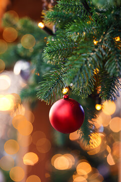 Closeup of Christmas tree branch decorated with red bauble and warm glowing lights and beautiful bokeh background. Cozy festive holiday atmosphere.