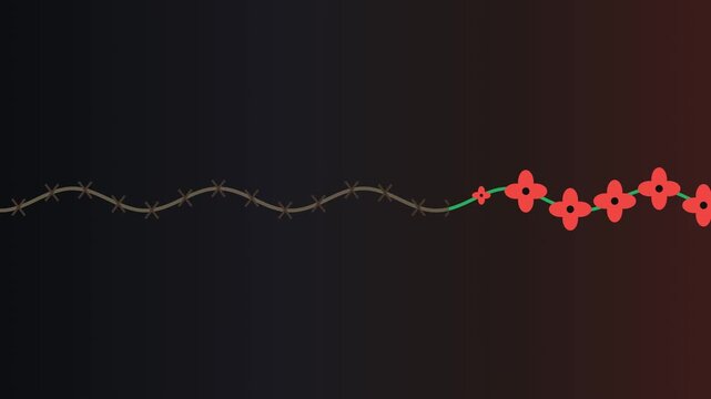 Minimalist Vector Animation of Barbed Wire Transforming into Red Poppy Vine with Seamless Loop, Peace Awareness Campaign.