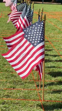 Row of American flags blowing in the wind