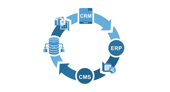 Business Software Integration Lifecycle Infographic showing CRM, ERP, CMS, and Data Management Workflow