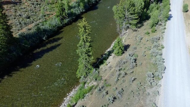 Aerial view of a winding river through forested terrain. Rocks line the riverbed, partially submerged. Lush green trees flank the water's edge. Shadows stretch across the landscape from overhead light