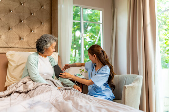 Female doctor or healthcare worker measuring blood pressure of senior patient using digital monitor, caregiver checking hypertension cardiovascular health of elderly woman during home healthcare visit