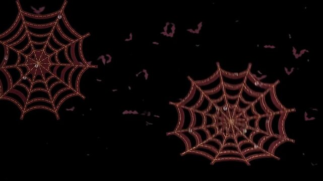 Halloween spider web animation with flying bats on black background