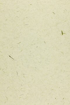 Botanical paper texture background. Green leaf fiber surface of natural herb sheet for herbal packaging, botanical branding and tea packaging design. Plant fiber pattern eco organic material for organ