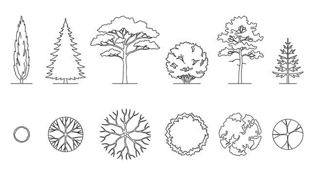 Minimalist tree line icons and top view symbols, architectural landscape design elements for site plans, 12 vector plant silhouettes including pine and cypress for masterplan rendering