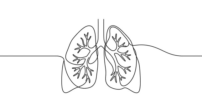 Single line drawing of human lungs