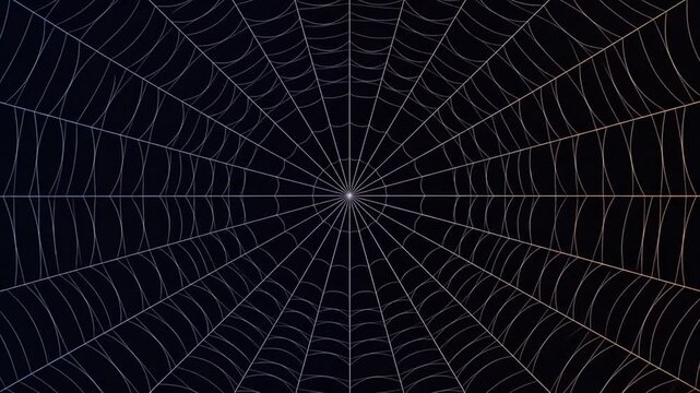 Glowing spiderweb symmetrical pattern on black background