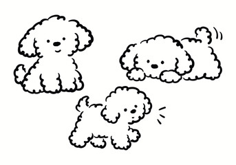 Obraz premium Cute doodle set of a fluffy white poodle puppy sitting, lying down, and walking.