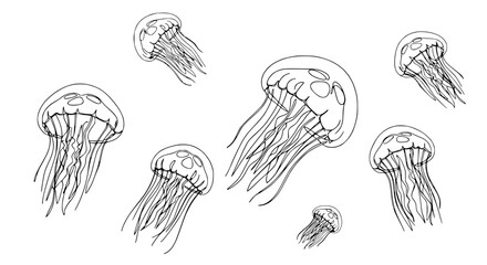 Hand Drawn Jellyfish Pattern - Isolated Vector Illustration © Mar