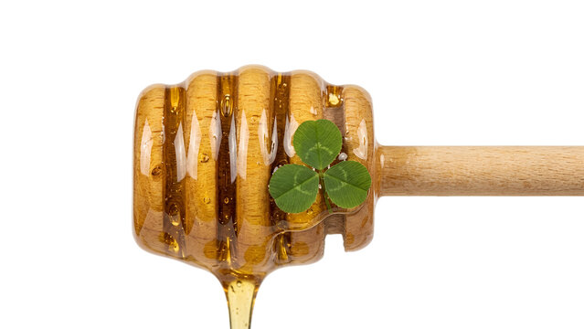 Wooden honey dipper with dripping golden honey and a green clover