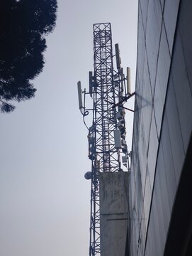cell phone tower in the morning