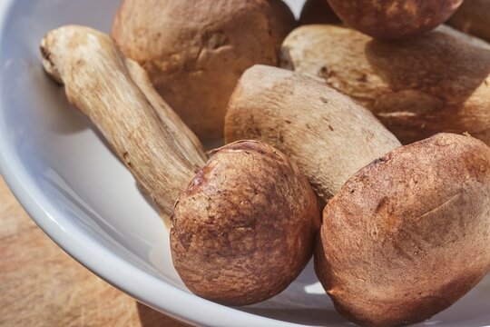 Porcini mushrooms, fresh, whole, and raw, in a white bowl.