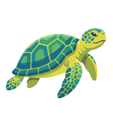 turtle