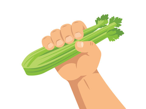 Flat Illustration Hand Holding Fresh Celery Stalk with Leaves