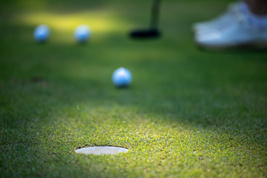 A golf ball lies on the putting green. Sunlight shines across the putting green. Golfers practice skills on this putting green.
