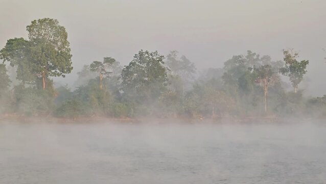 Local passengers board a traditional wooden motorboat as it speeds along a wide tropical river in foggy weather, with a backdrop of dense jungle. 4K