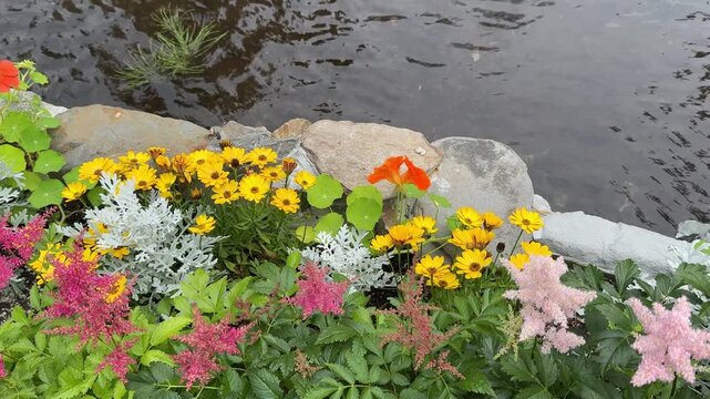 A top-down detailed shot of a stone border wall blooming with pink astilbes and yellow daisies beside a rippling creek.