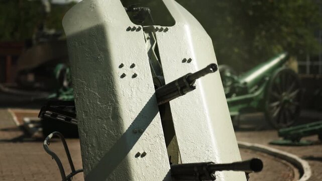 Obsolete, abandoned, and rusty combat guns stand amidst the natural landscape. A graveyard of weaponry. An echo of war. The aftermath of war.