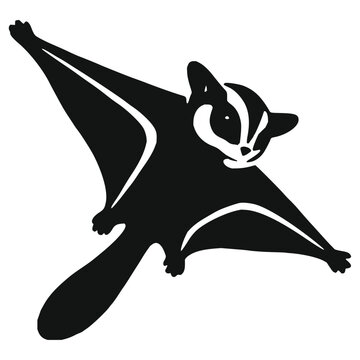 Cute sugar glider climbing on a tree silhouette icon