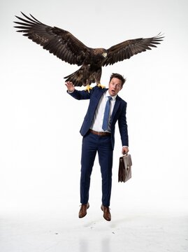 Surprised businessman with briefcase lifted into the air by a large eagle, concept of corporate takeover.