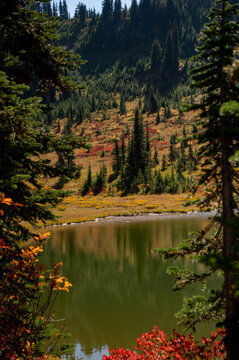 Mount Rainier Mountain and Lake View in Autumn