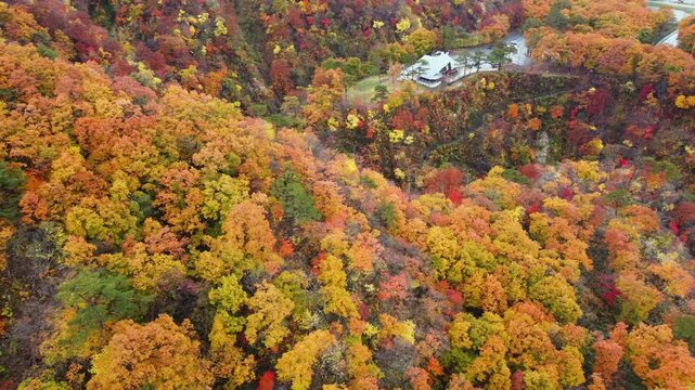 宮城県 鳴子峡の紅葉風景と大深沢橋 空撮ドローン映像 Aerial Shot of Autumn Colors at Naruko Gorge, Miyagi Japan
