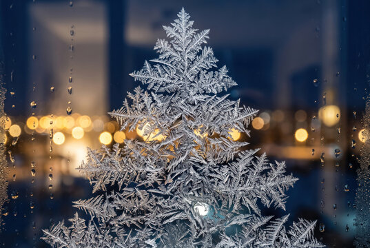 Frosted Christmas tree glows beside rain covered window with warm lights creating calm winter holiday atmosphere.