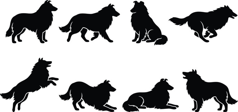 Black dog silhouettes set of 8, collie and shepherd canine vector poses, running sitting pet silhouettes