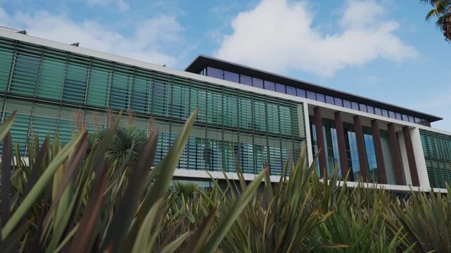 Modern Building Rises Above Tropical Plants Under Bright Blue Sky, With Glass Facade And Calm Urban Architecture In Clean Daylight. Reflective Windows, Steel