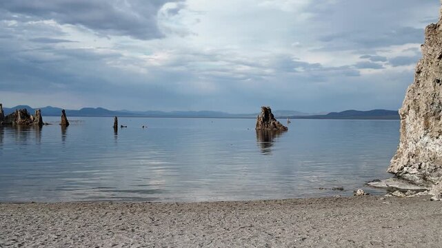 flock of birds flying around a tufa in mono lake south tufa eastern sierra California