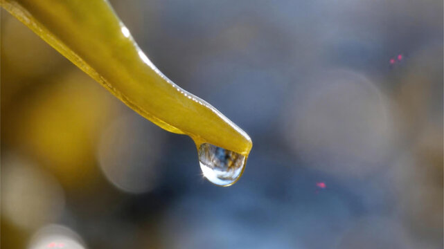 drop of water