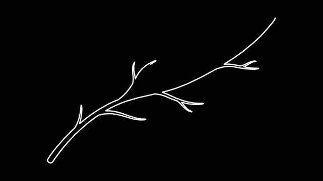 Minimalist white line art of bare tree branch drawing itself on black background as simple animation for creative design.