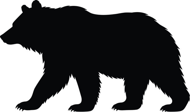 Black Bear Silhouette Vector Illustration, Wild Animal Mammal Profile, Powerful Wildlife Predator Symbol, Grizzly Bear Shape for Nature, Safari, Zoo and Outdoor Design