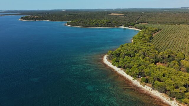 Curving coastal bay in Istria Croatia near Brijuni Islands with turquoise water and dense pine forest
