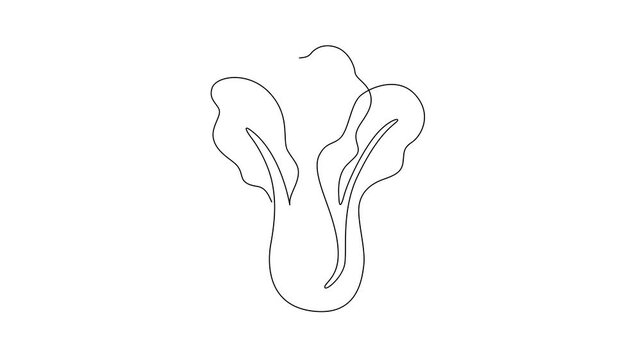 Minimalist bok choy continuous line drawing animation gradually forming on a clean white background. A single unbroken black line creates a simple bok choy illustration
