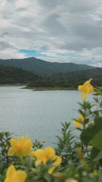 Peaceful lake, lush green mountains, and tropical yellow flowers under a cloudy sky in Thailand.