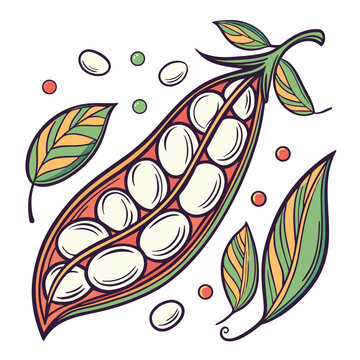navy bean colorful on white background
