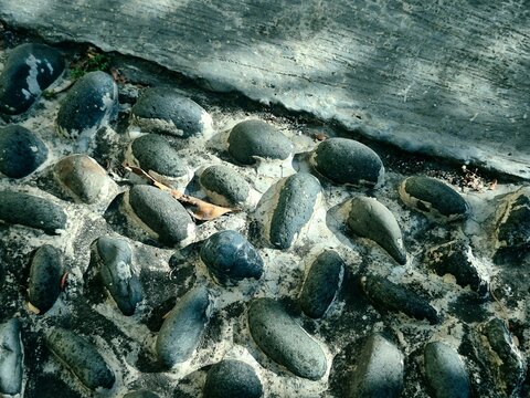 Close up of river stones embedded in concrete ground or pathway texture
